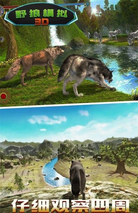 野狼模拟3D1