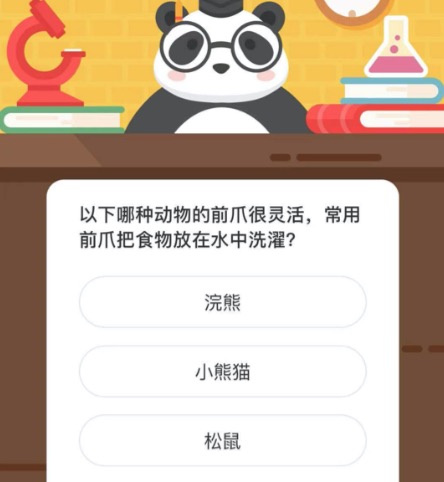 以下哪种动物的前爪很灵活，常用前爪把食物放在水中洗濯？微博森林驿站1月4日今日答题答案