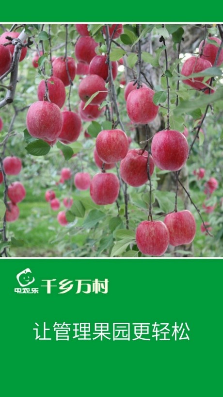 千乡万村1