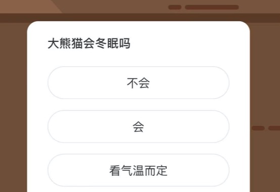 大熊猫会冬眠吗？微博森林驿站1月16日今日答题答案