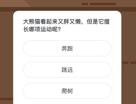 大熊猫看起来又胖又懒但是它擅长哪项运动呢？微博森林驿站1月22日今日答题答案