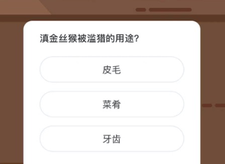 滇金丝猴被滥猎的用途？微博森林驿站1月28日今日答题答案