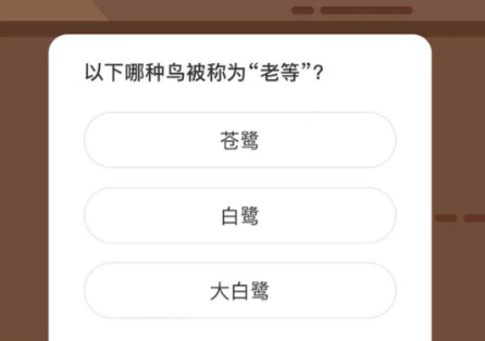 以下哪种鸟被称为老等？微博森林驿站2月2日今日答题答案