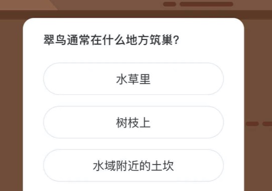 翠鸟通常在什么地方筑巢？微博森林驿站2月3日今日答题答案