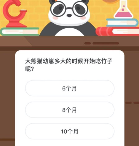 大熊猫幼崽多大的时候开始吃竹子呢？微博森林驿站2月12日今日答题答案