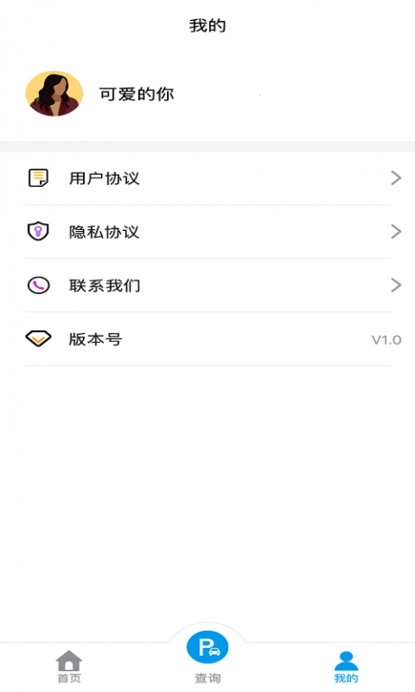 便停车4
