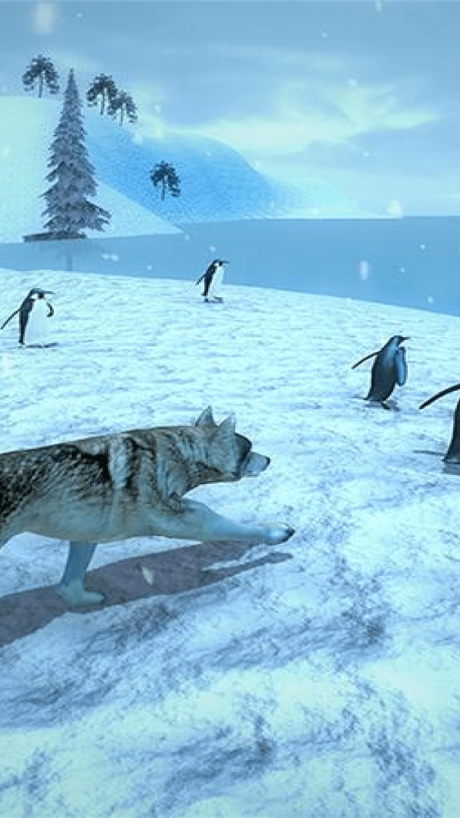 北极狼模拟器0