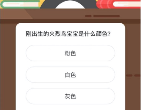 刚出生的火烈鸟宝宝是什么颜色？微博森林驿站3月1日今日答题答案