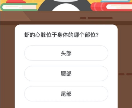 虾的心脏位于身体的哪个部位？微博森林驿站3月3日今日答题答案