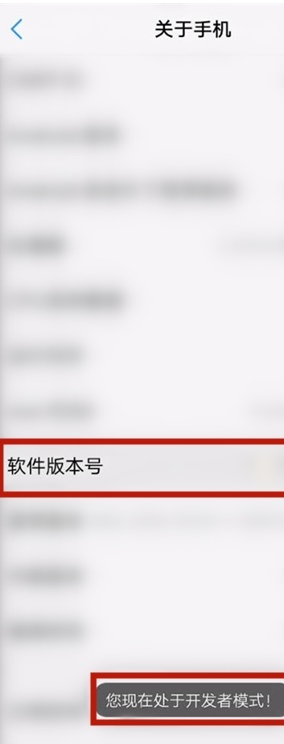 vivos7开发者选项在什么地方