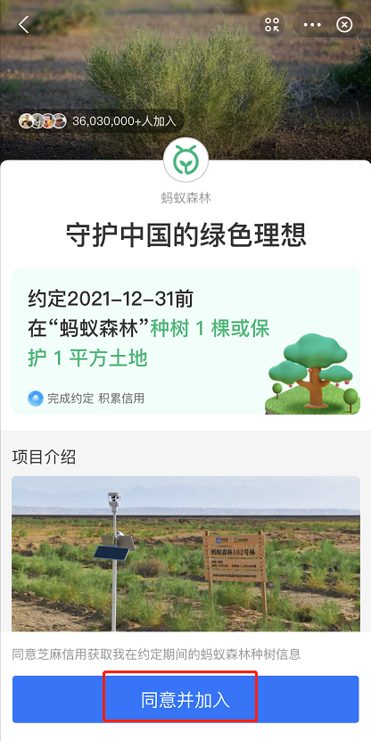 支付宝种树约定在什么地方参与