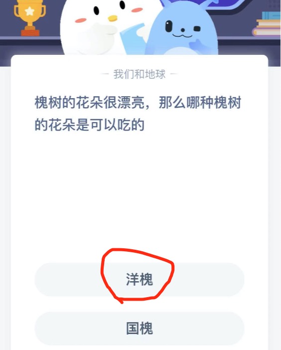 槐树的花朵很漂亮，那么哪种槐树的花朵是可以吃的？2021年3月29日蚂蚁庄园今日课堂答题