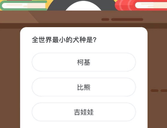 全世界最小的犬种是？微博森林驿站4月6日今日答题答案