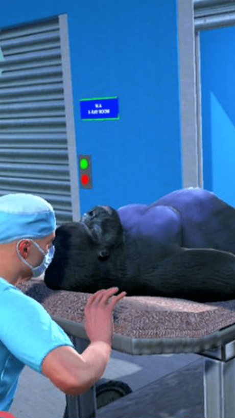 动物外科医院0