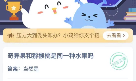 奇异果和猕猴桃是同一种水果吗？蚂蚁庄园4月13日答案最新