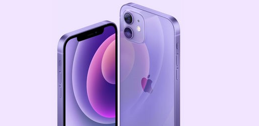 紫色iPhone12多少钱