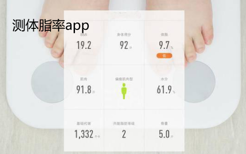 测体脂率的app排行榜