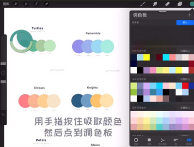 Procreate如何取色做色卡