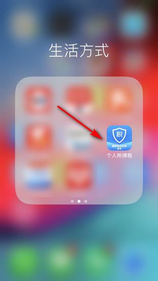 个人所得税app申报后如何处理