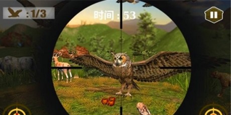 3D猫头鹰狩猎模拟2