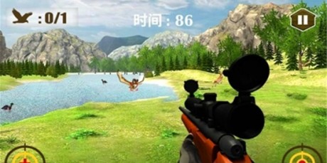 3D猫头鹰狩猎模拟