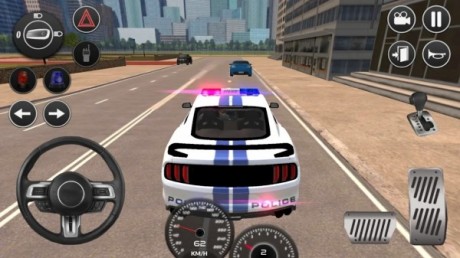 Mustang Police Car Driving 20212