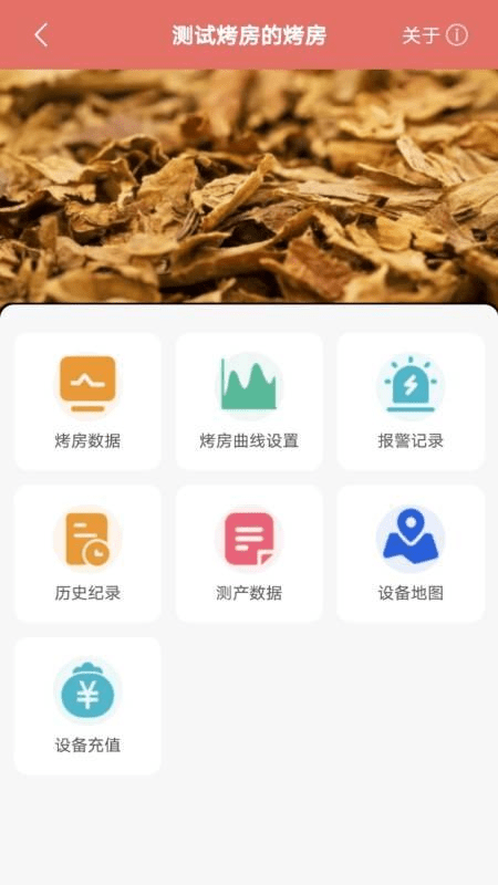 智慧烘烤1