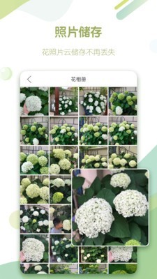 绿手指0