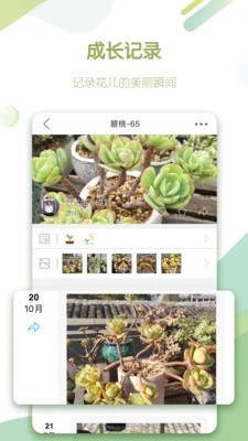 绿手指2