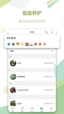 绿手指3