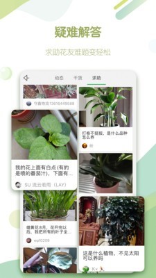 绿手指4