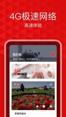 爱录1