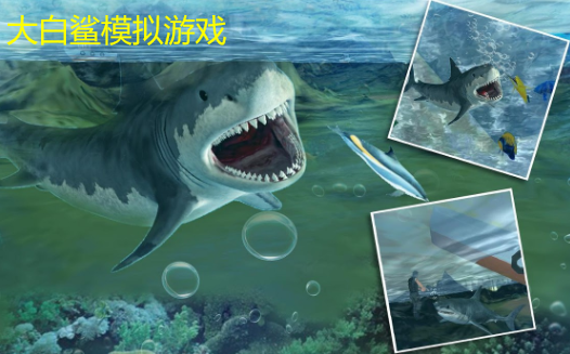 大白鲨模拟游戏合集