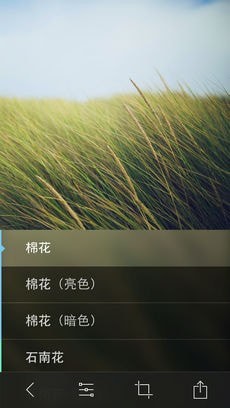 Litely相机4