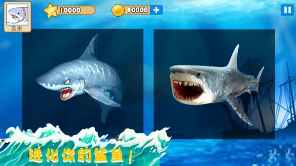 大白鲨真实模拟0