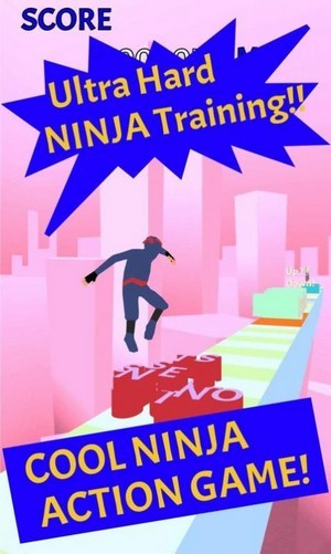 Ultra Ninja Running1