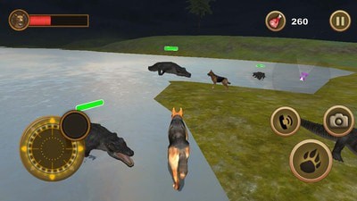 动物生存模拟器之狗3