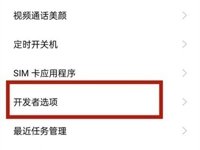 opporeno6开发者选项在什么地方