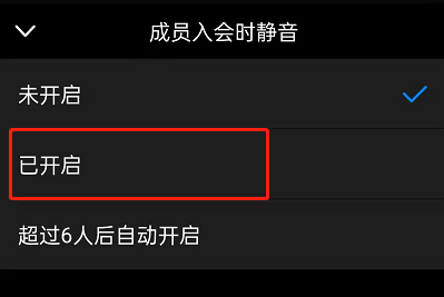 钉钉入会静音在什么地方设置