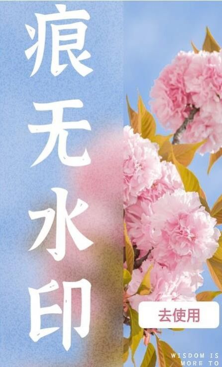 水印扣除3