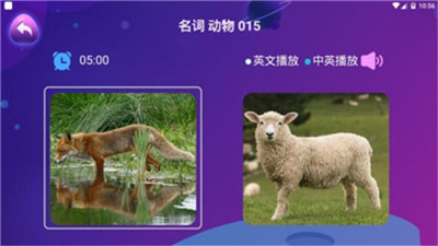 邦元教育2