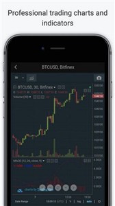 Bitfinex交易所1