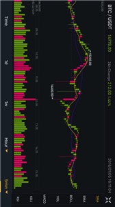 斯蒂姆币交易所2