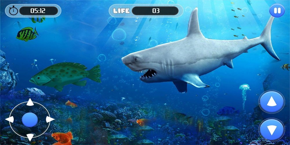 大白鲨生存模拟器0