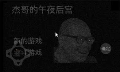 杰哥的午夜后宫2