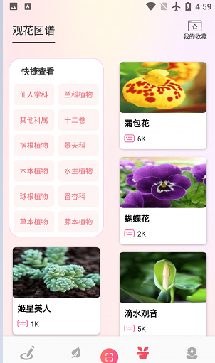 阑舒养花宝1