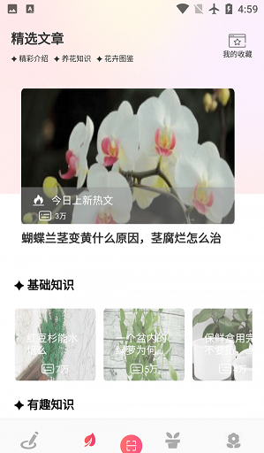 阑舒养花宝2