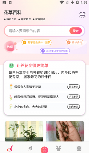 阑舒养花宝3
