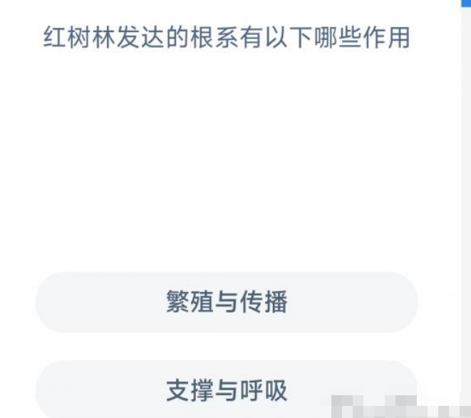 红树林发达的根系有什么用