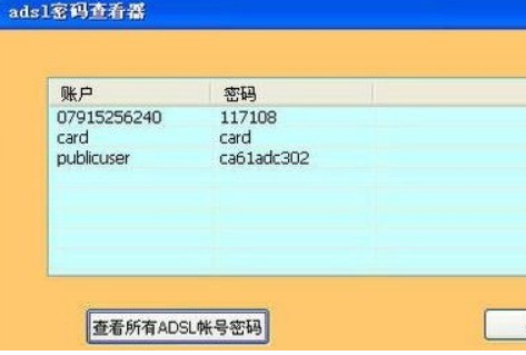 adsl帐号密码查看器